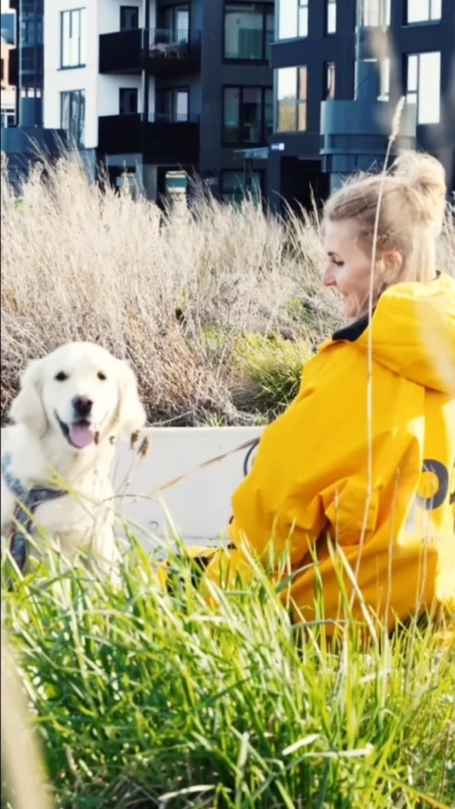Little adventures with your four-legged best friend 🐾

Made for every moment outdoors.
Paul Berg Nordic Jacket.

—

Video credits 🎬

Screenplay – Mariliis Pruul
Art Direction – Paula Lass
Cinematography – Kermo Berrot
Editing – August Lember
Sound Design & Music – Maria Maas (Audio has been modified for Instagram compatibility)

Special thanks to BFM and IKUMUMU.

#PaulBerg #NordicJacket #OutdoorLifestyle